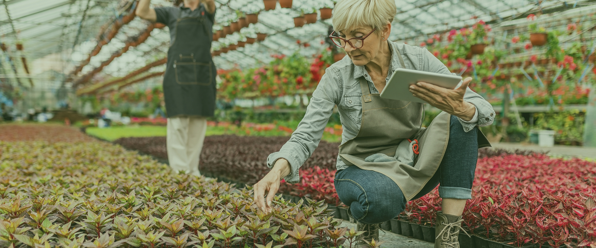 Protect Your Plants, Increase Your Yield